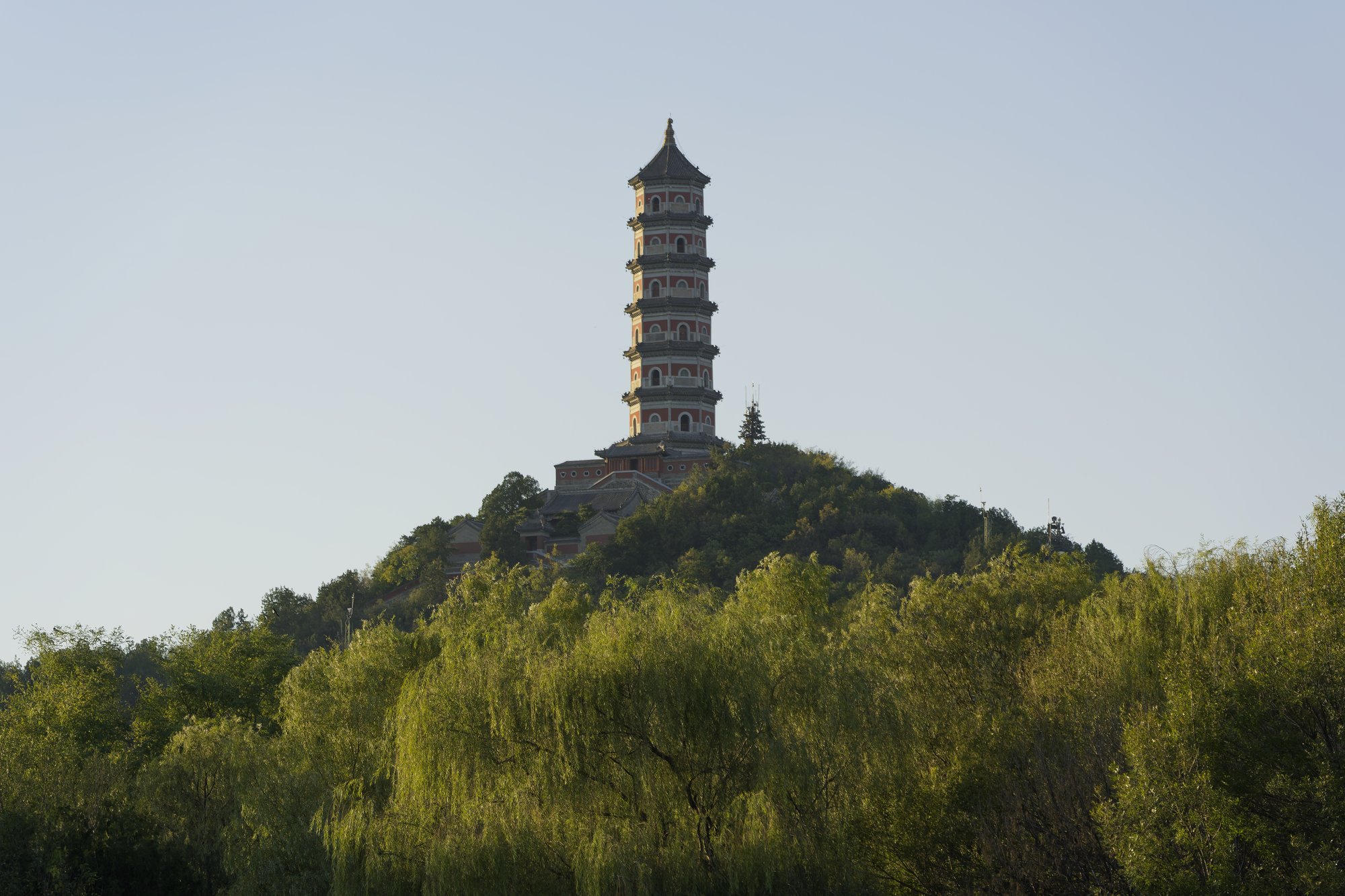 The slender, many-eaved Yufeng Pagoda on top of a wooded hill against a clear pale sky, with sunlit willows filling the foreground.